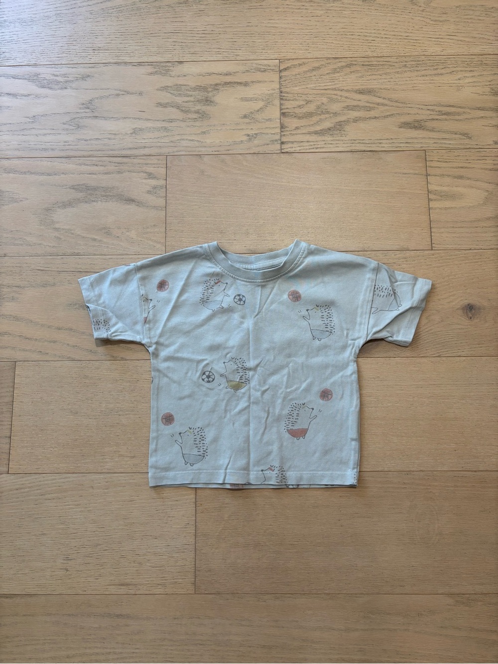 Pehr kid mint color hedgehog play with balls print tee, size 3T
